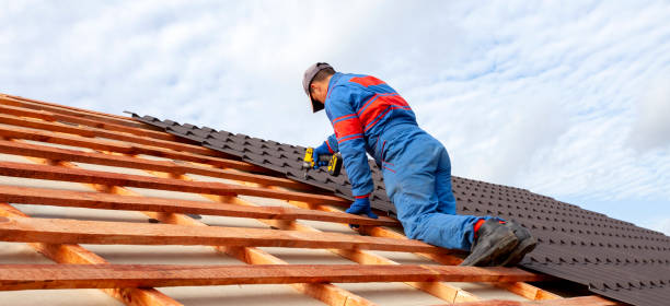 Best Asphalt Shingle Roofing  in Walton, KY
